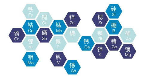 功能农业新型研发机构 南京恒宝田功能农业产业研究院